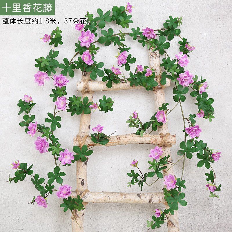 Ten Li Xiang Flower Vine púrpura 1 pieza