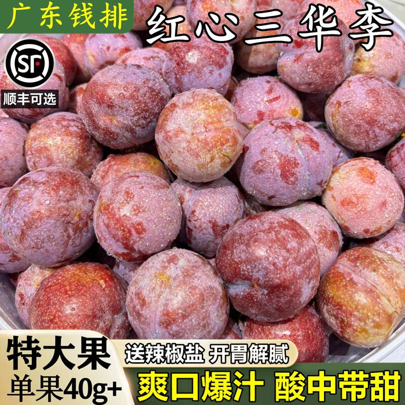 Authentic Guangdong Maoming Qianpai Sanhua Plums Fresh Fruit 5kg Seasonal Red-Fleshed Pickled Crispy Sweet Whole Box Wholesale