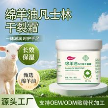 ���Ѹෲʿ�־d���ͼt�������R�̓�����һĨ�������у����ɰW͑Ƥ