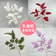 ��ȸ�ɻ�c���滨���������~��Y�b�ˇ�Ƶ�·�������žGֲ���l