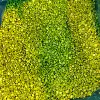 FD green asparagus 3-5mm 20g/pack