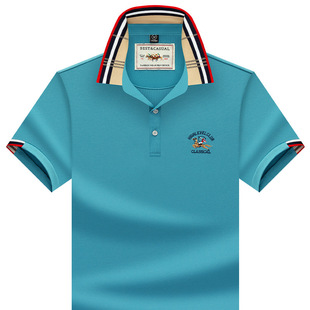 ���_Ʒ�����b������t���ļ�����͸���a���e���I�w��POLO��