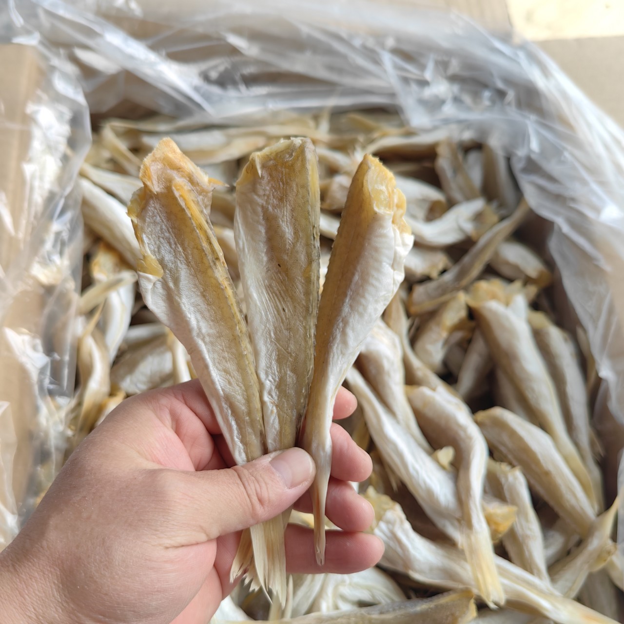 【源头厂家】淡干角肉红娘鱼干角条红头鱼干去头去内脏小鱼干