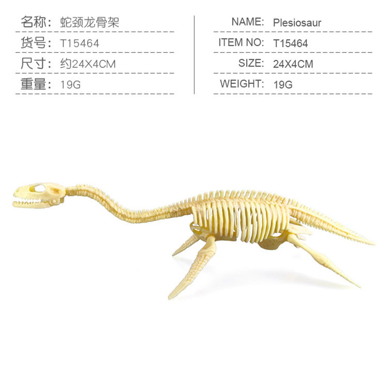 Transfronterizos de venta caliente simulación sólida modelo de cráneo de dinosaurio estático T. rex Velociraptor esqueleto arqueológico juguetes para niños