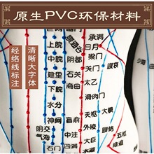 52CM�������ģ�;���Ѩλ��ҽʮ��ͭ��ģ��ͼС��������ϰСƤ��