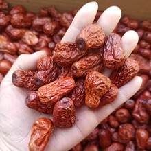 ƤƤ���E�������ؔ��s��500���½��󗗼t�����l