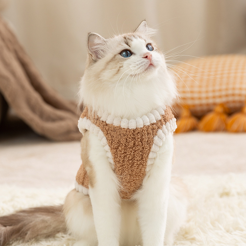 Gato otoño invierno gato sin pelo estilo coreano oso pegatinas chaleco de peluche perros dos piernas ropa de peluche mascota gato