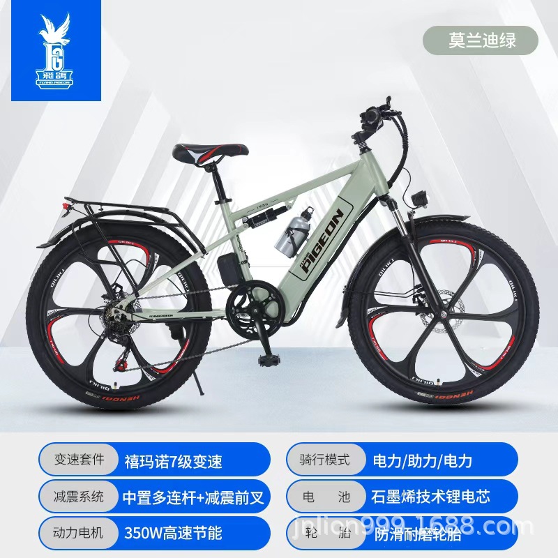 Flying Pigeon Bicicleta de montaña eléctrica Batería de litio de 400W Nuevo estándar nacional para adultos Bicicleta de batería para hombres y mujeres