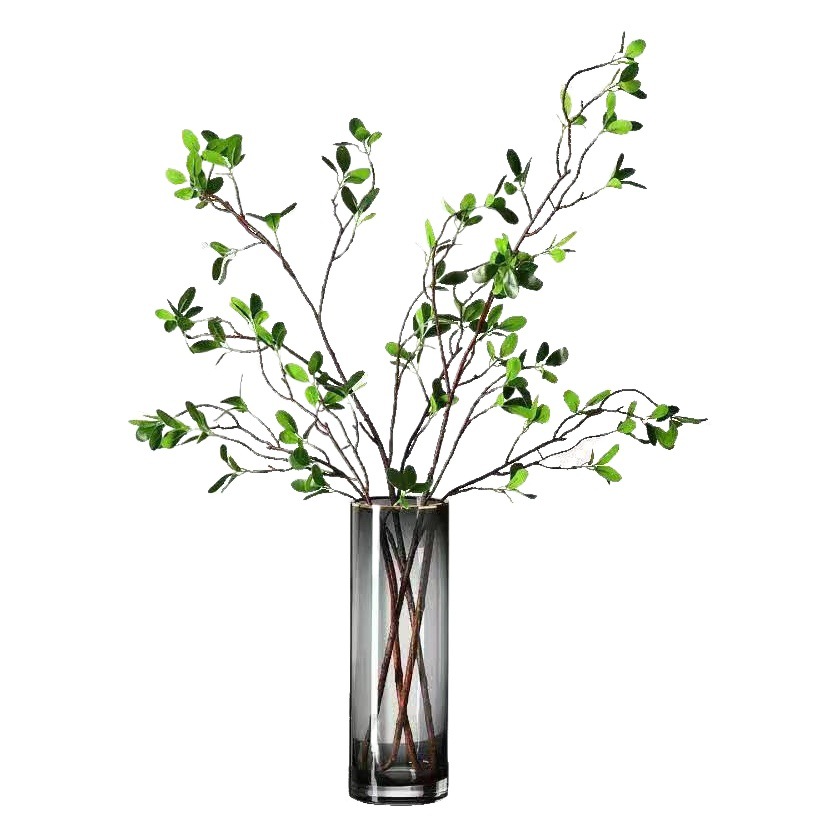 Luz de lujo de oro pintura de vidrio transparente florero de flores secas sala de estar decoración de flores creativo simple nórdico acuático arreglo floral