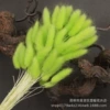 [浅绿色【60支左右】]