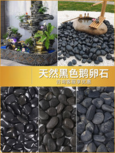 ��ɫ�Z��ʯԭʯͥԺ���@䁵��·ʯ���̨�~���쾰�껨ʯС��ʯ�^