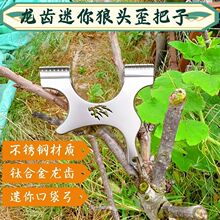 龙齿狼头小歪把口袋弓掌中宝钛合金线切割弓头免绑不锈钢扁皮竞弓