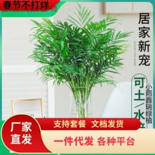 һ�����l����Ҭ��ˮ��Gֲ�︻�F�Pβ���^�~���Կ͏d�k���҃�����