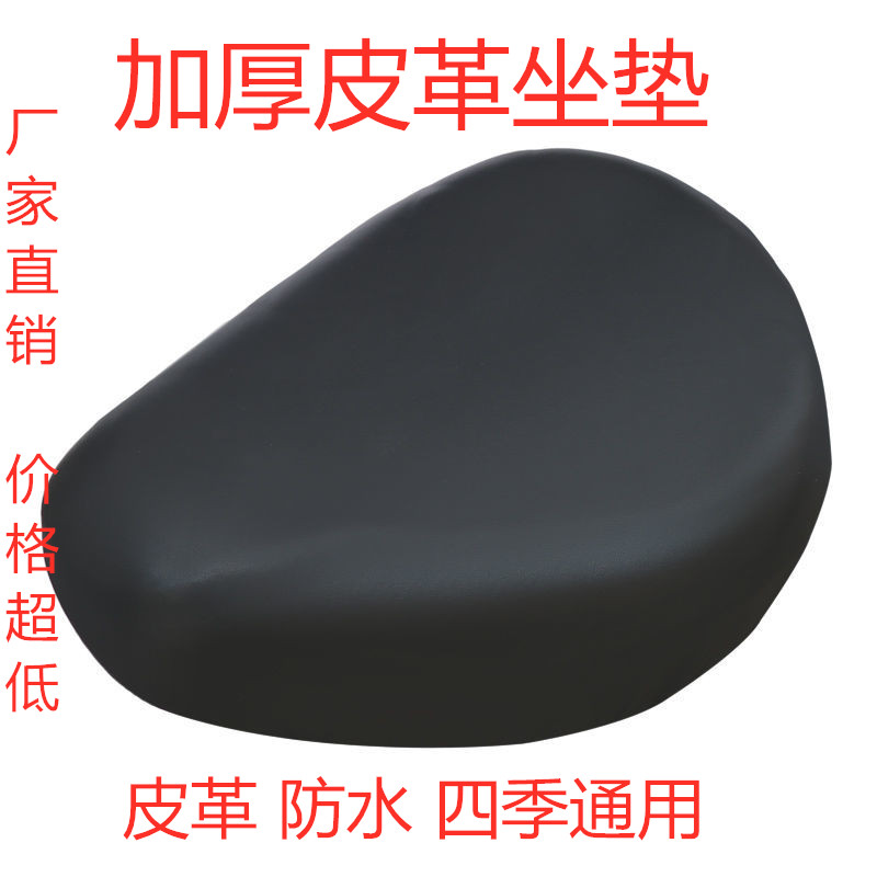 Electric bike, pillow, universal seat