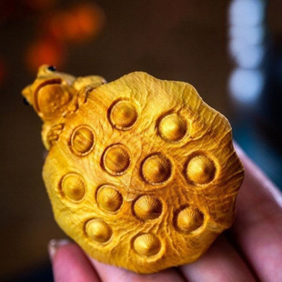 С�~�S��ľ������ɏ���ְ������ʿ�����S���������ˇ����[��