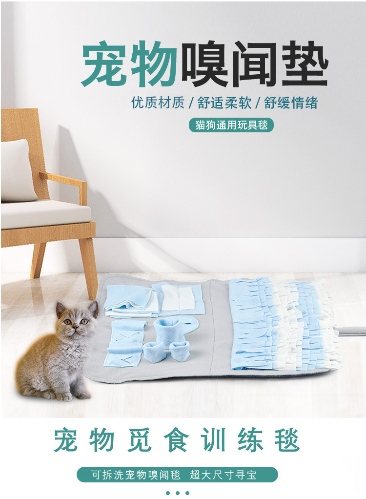 19749826577_1100211189