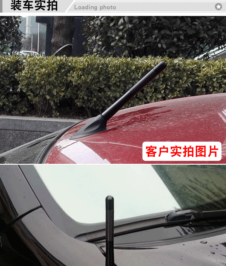 12CM_07.gif