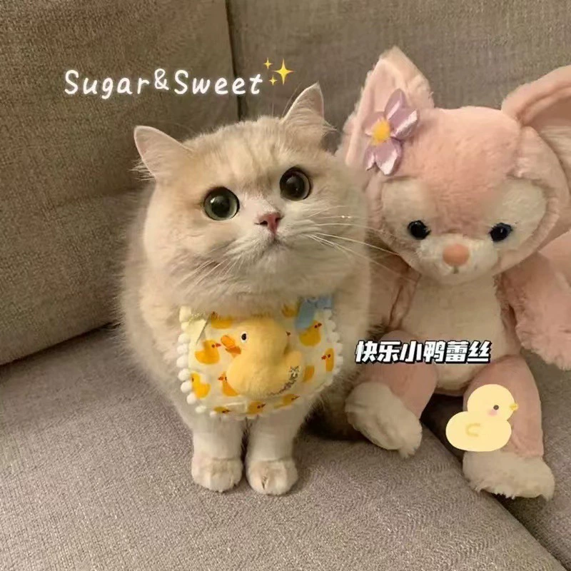 Кошачий нагрудник шарф изо рта Собака домашнее животное шарф нагрудник бант украшения милый нагрудник украшение воротник кружево