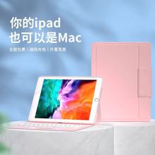 miPad 2021Ƥ10.2{IPƤAir4һwˤIPo