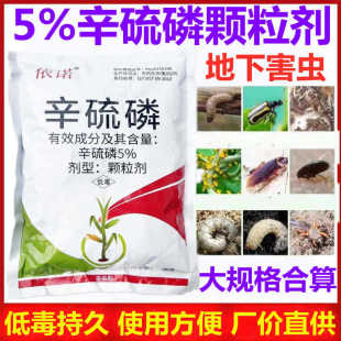 5%�������w�����º��x���x���������rș�������x���rș�w������Ʒ