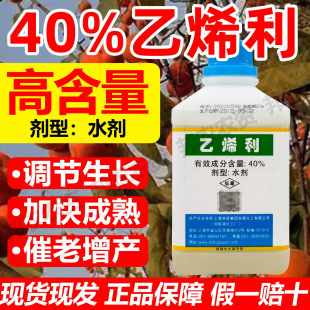 40%��ϩ�����L�{���������޻�ˮ�����~�㽶�������a���L�{����ș