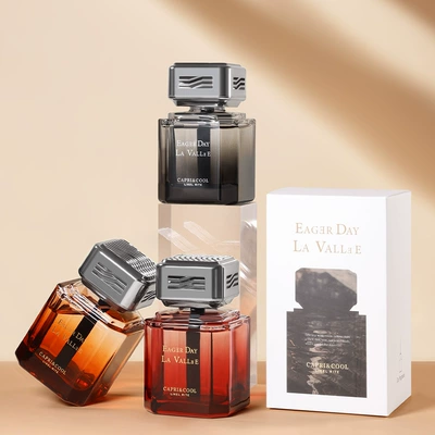 Long-Lasting Light Fragrance Car Fragrance — Car Perfume Aromatherapy