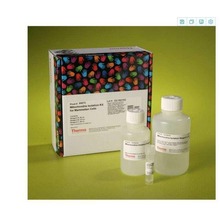 thermo 20148赛默飞LightShift化学发光EMSA试剂盒
