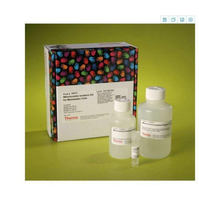 thermo 20148赛默飞LightShift化学发光EMSA试剂盒