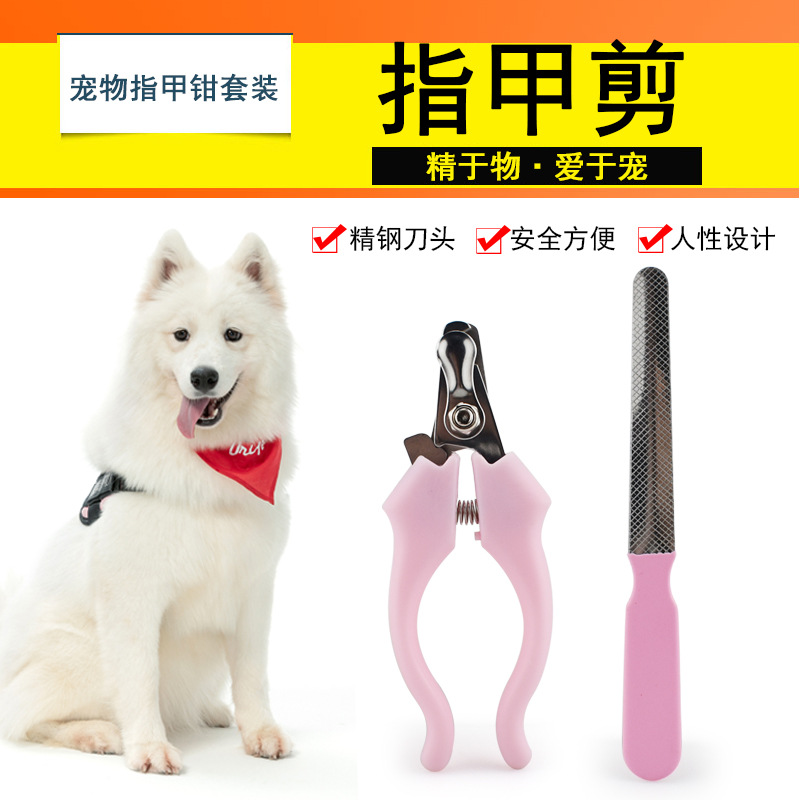 애완견 손톱깎이 손톱깎이 개 손톱깎이 손톱 갈기 손가락 청소 용품 곡선 손잡이 가위 파일