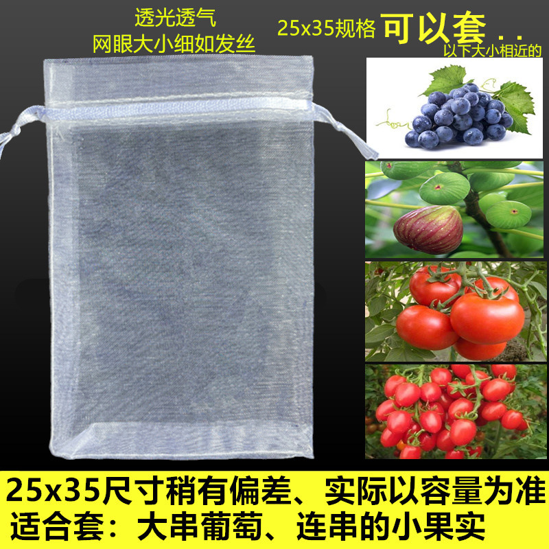 25x35_副本