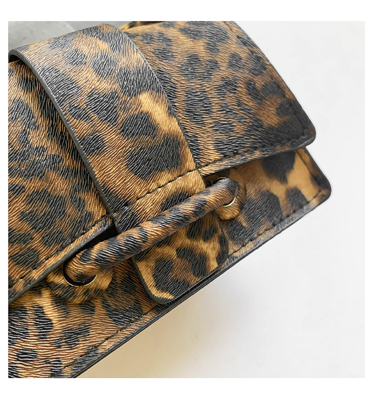 Small niche leopard print design 2024 new handheld casual western-style personalized crossbody small square bag_voghion.com