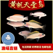 �S�������B���w�~����̹���^�p�~ˮ�嵭ˮ����Ⱥ����������С���~