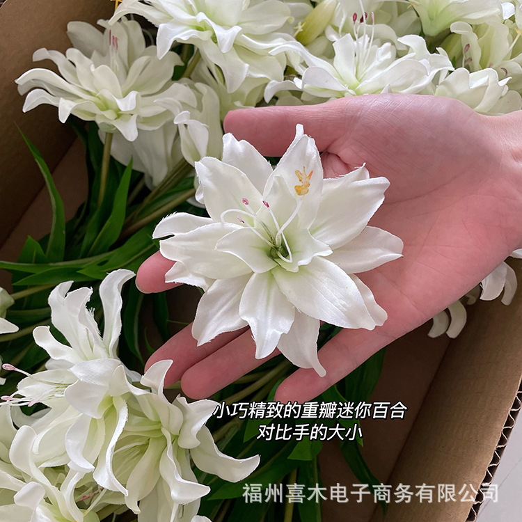 photo-output_6 4.JPG