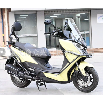 and passenger telescopic lumbar — Motorcycle tail