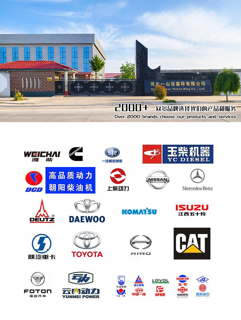 Zs1110 Piston Ring High Performance High Quality Wear-Resistant Durable Piston Ring Sealing Ring