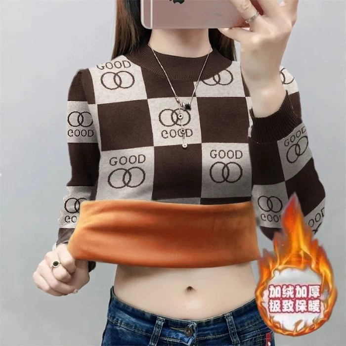 Зимняя универсальная флисовая утолщенная толстовка с высоким воротником, стильная базовая футболка для женщин