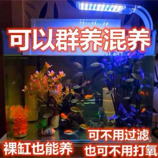 �o�y�{���~���~�������ˮ�~���^�p�~�ͻ���B�����Ї����~��ˮ�~