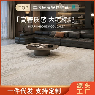 客厅地毯2026新款卧室床边毯书房防水防滑可裁剪隔音地垫圈绒脚垫