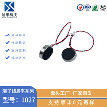 Sa1027ƾ΢СR_{CR_֙CR_