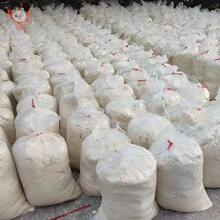 �Ϻ��l���~��ι�B�����������������ԭ���㽭ţ���Bֳ����5�u�i