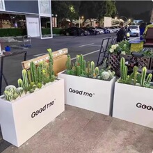 �������ۑ��⻨��M���Fˇ���P䓻��������[���ڽ��ٻ����L����