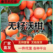 һ�����lɰ�����Ә���޽ӽ��������Ե��Թ�������ٟo�����٘���