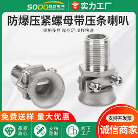 防爆电缆夹紧密封接头带有压线喇叭口碳钢镀锌防爆接头防水