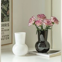 北欧ins风简约轻奢玻璃花瓶摆件高颜值鲜花插花器家居桌面装饰道