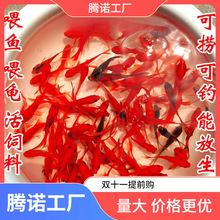 ������С�~��ˮ���B�ͻ����ˮ�~�^�p�~����С���~���~��һ��