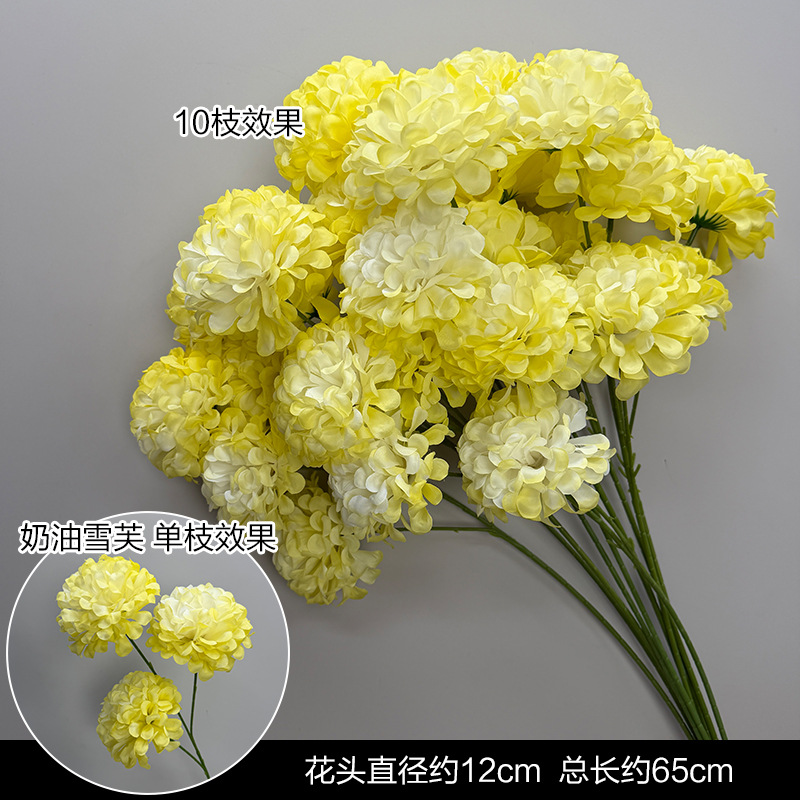 노란색 크림 스노우볼