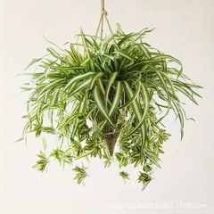 卸売模擬 5 フォークゴールドエッジ布ハンギングクローバー植物壁アクセサリーバンドル模擬造花装飾装飾品模擬花