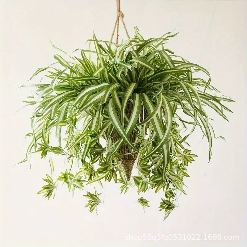 Wholesale Simulated 5-Pronged Phnom Penh Cloth Chlorophytum Plant Wall Accessories Bunch of Simulated Artificial Flowers Decorative Ornaments Simulated Flowers