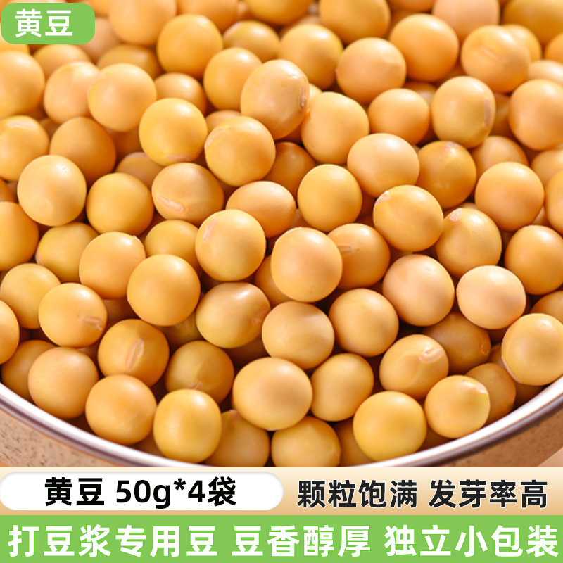 黄豆新货东北农家自种大豆发豆芽五谷杂粮煲汤营养早餐打豆浆|undefined