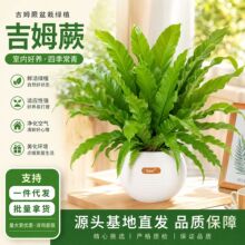 չ�I�B��ާ�W�tާ�ֲ���k��������Gֲ�҃ȚW��ƽ��ާ��ķާ����